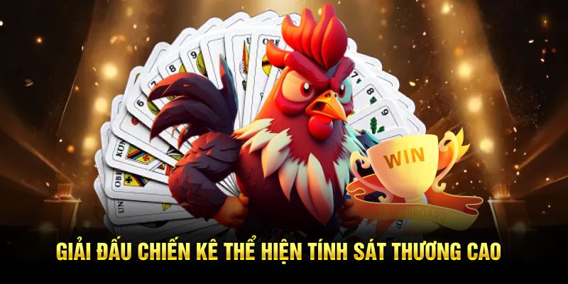 Giải đấu chiến kê thể hiện tính sát thương cao 
