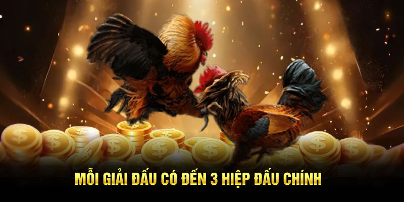 Mỗi giải đấu có đến 3 hiệp đấu chính 