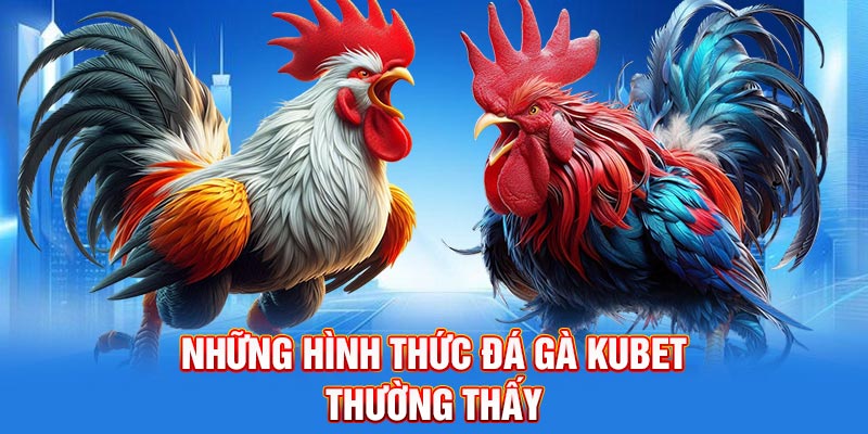 Những hình thức đá gà Kubet thường thấy